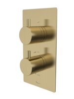 Quantum Dual Function Shower Valve