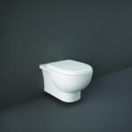 RAK-Tonique Wall Hung Pan