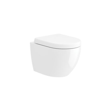 Edison Wall Hung Pan & D-Shape Seat
