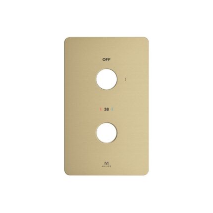 Outlet Wall Plate