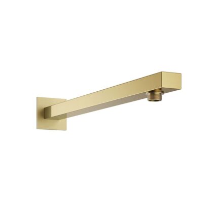 Dayla Shower Arm