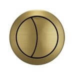 Dual Flush Button